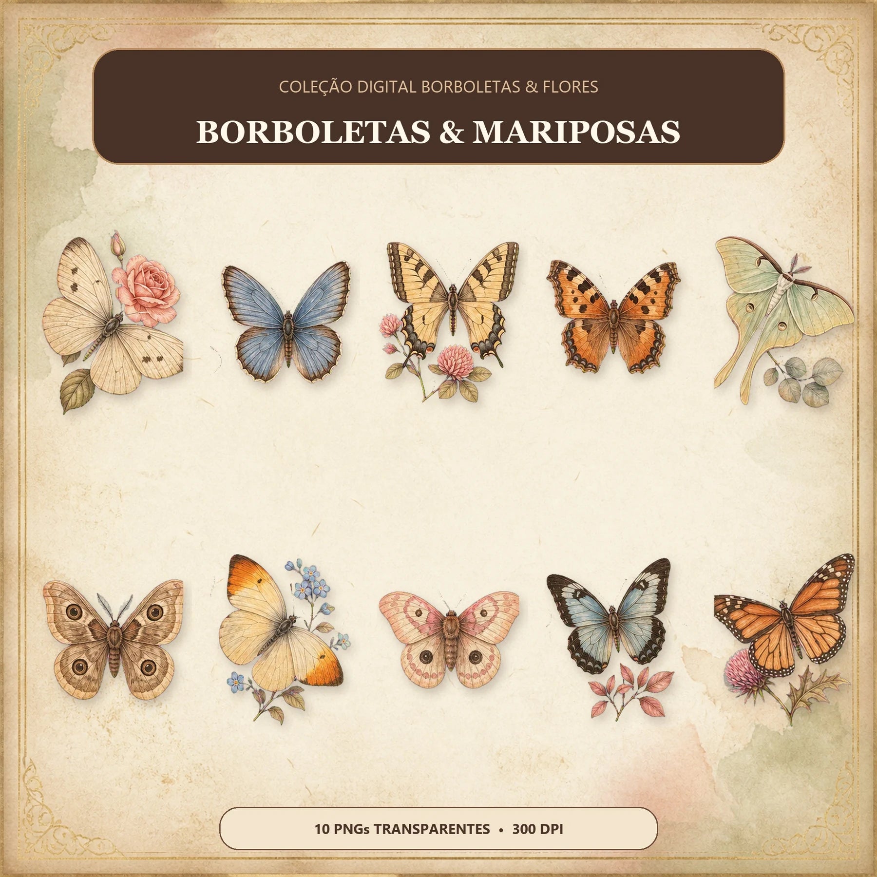 Detalhe de Borboletas & Flores